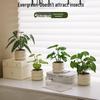 Nordic Indoor Desktop Bonsai: Artificial Green Plants for Office Decoration