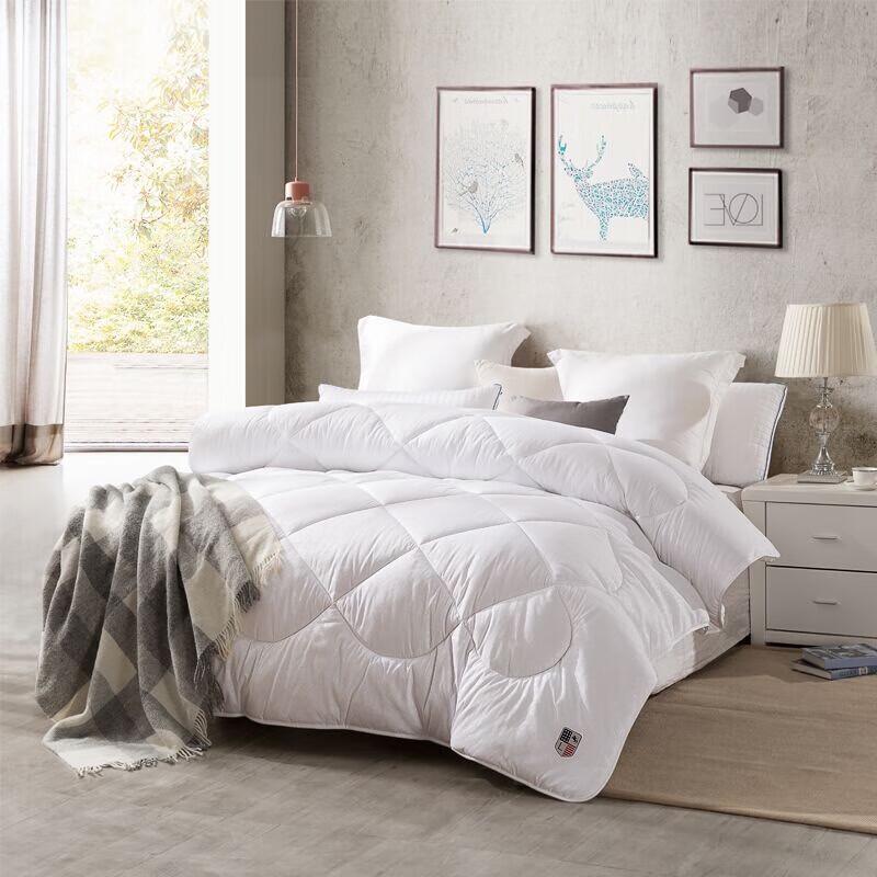 LOVO Warm Microfiber Winter Comforter