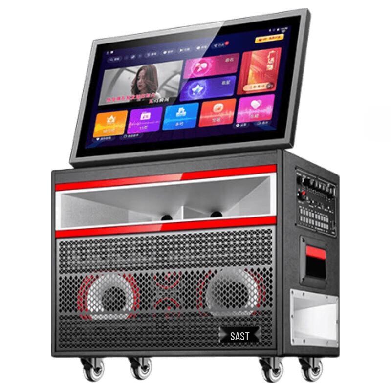 SAST SW-868 Portable KTV Speaker System with Microphone (CN version)