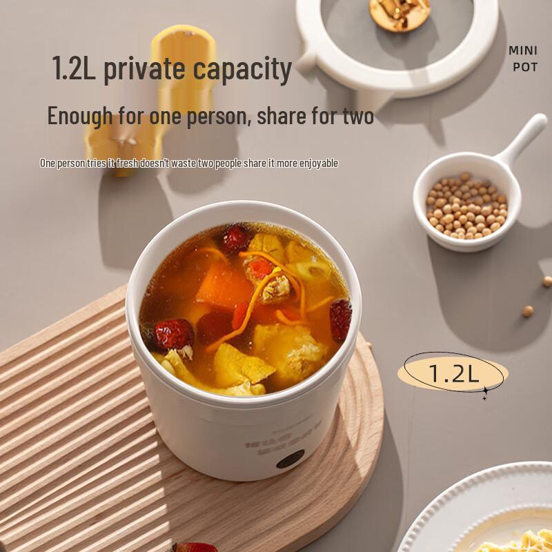 Portable Multi-functional Electric Noodle Pot