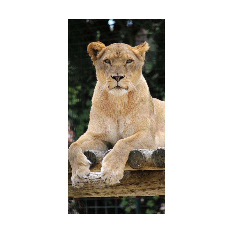 Ferocious Tiger Canvas Painting Animal Posters And Prints Modern Wall Art Pictures For Living Room Home Decoration No Frame