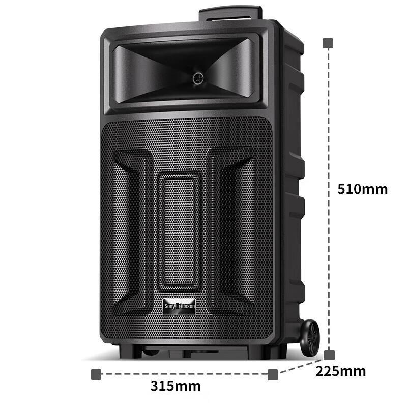 Soli Q28V Portable Karaoke & PA Speaker with Dual Mics