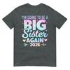 Im Going To Be A Big Sister Again 2026 Baby Announceunisext TShirt