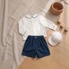 Boys' Long Sleeve Lapel Shirt & Shorts Embroidery Set - Summer Outdoor Wear