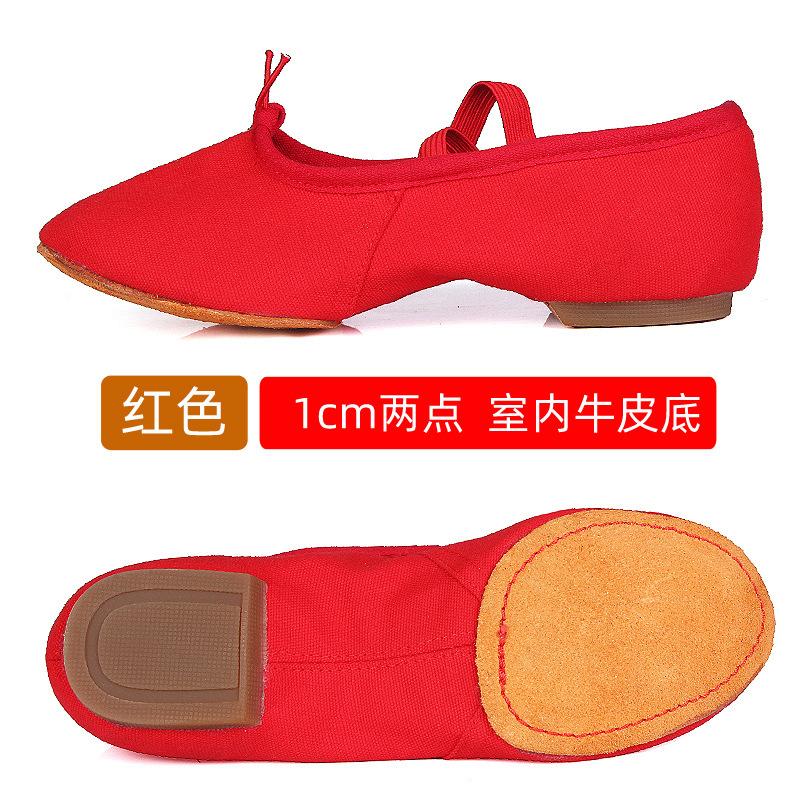 Ballet Dance Shoes Women Teacher Stage Training Sports Shoe Soft Sole Slippers Yoga Belly Practice Shoe Girls Jazz Dancing Shoes