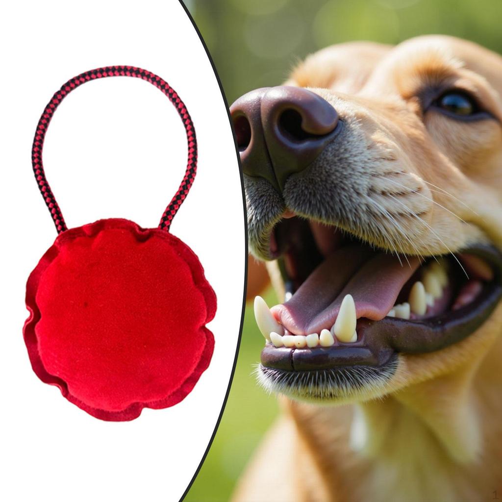 Tough Dog Toy Training Sofa Protection Interactive Play for Dogs Indoor