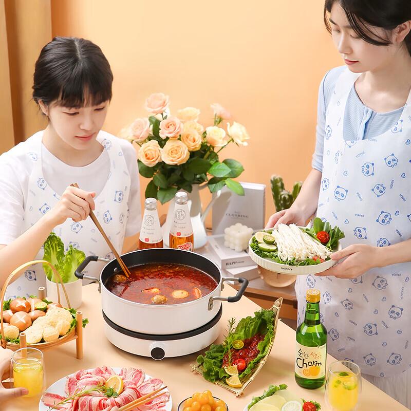 MARYYA Disposable Printed Apron (10-Pack)