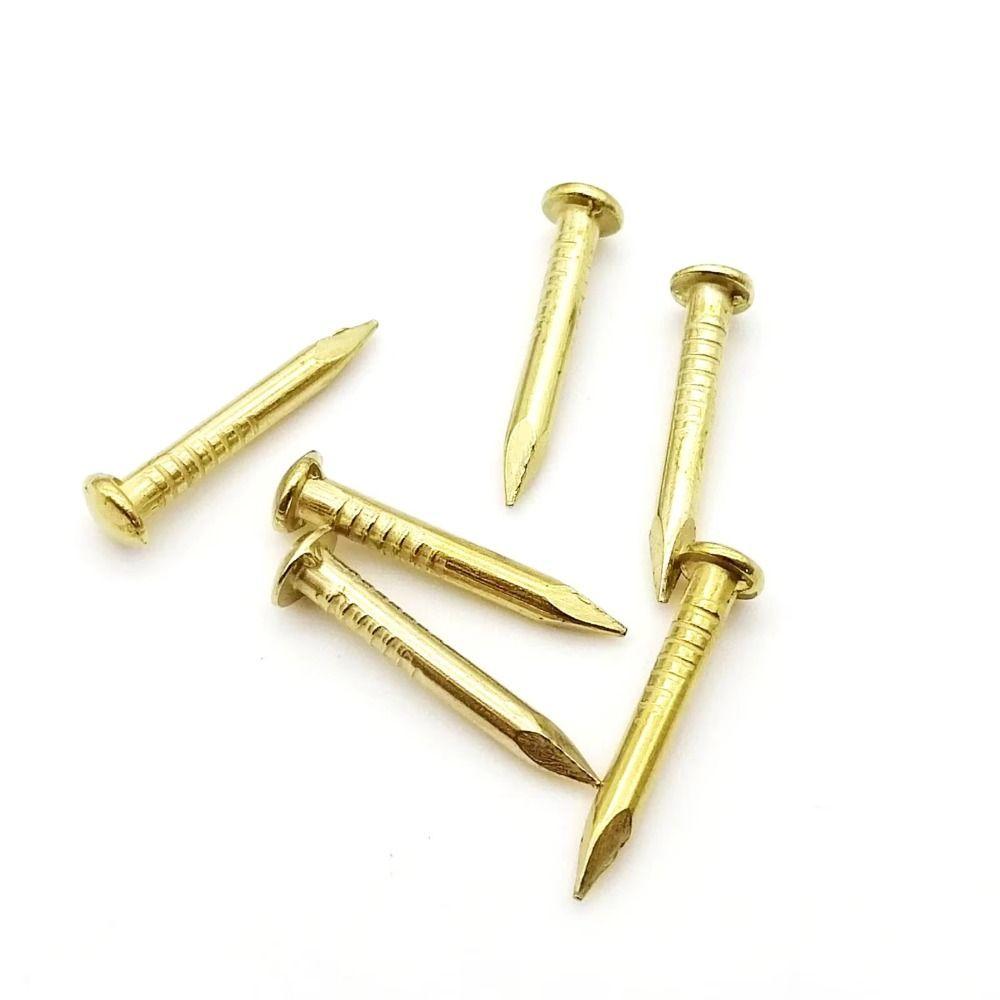 100 pcs Round Head Round Head Pins Rust-proof Brass Nail Track Mini Brass Nails Models Crafts