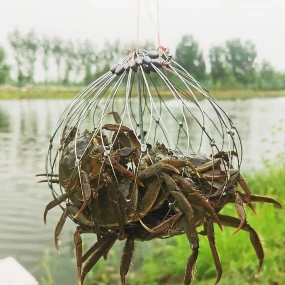 1Pcs Steel Wire Crab Trap Net Automatic Open Closing Stainless Steel Fishing Net Cage 52/72cm Outdoor Fishing Accessories