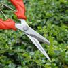 Straight Head Garden Pruning Shears for Fruit, Vegetable, and Flower Cutting