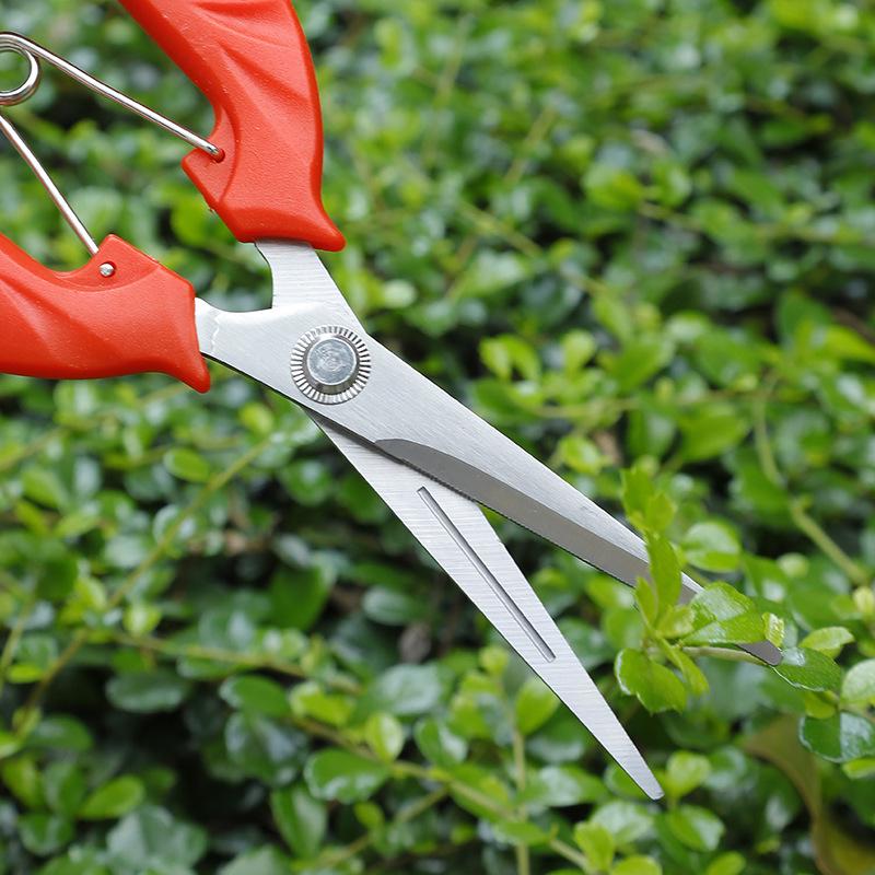 Straight Head Garden Pruning Shears for Fruit, Vegetable, and Flower Cutting