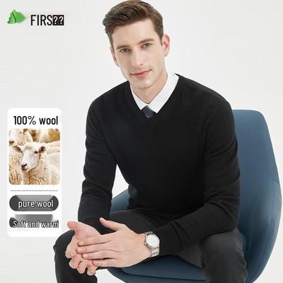 Shanshan Men's 100% Wool V-Neck Pullover Sweater
