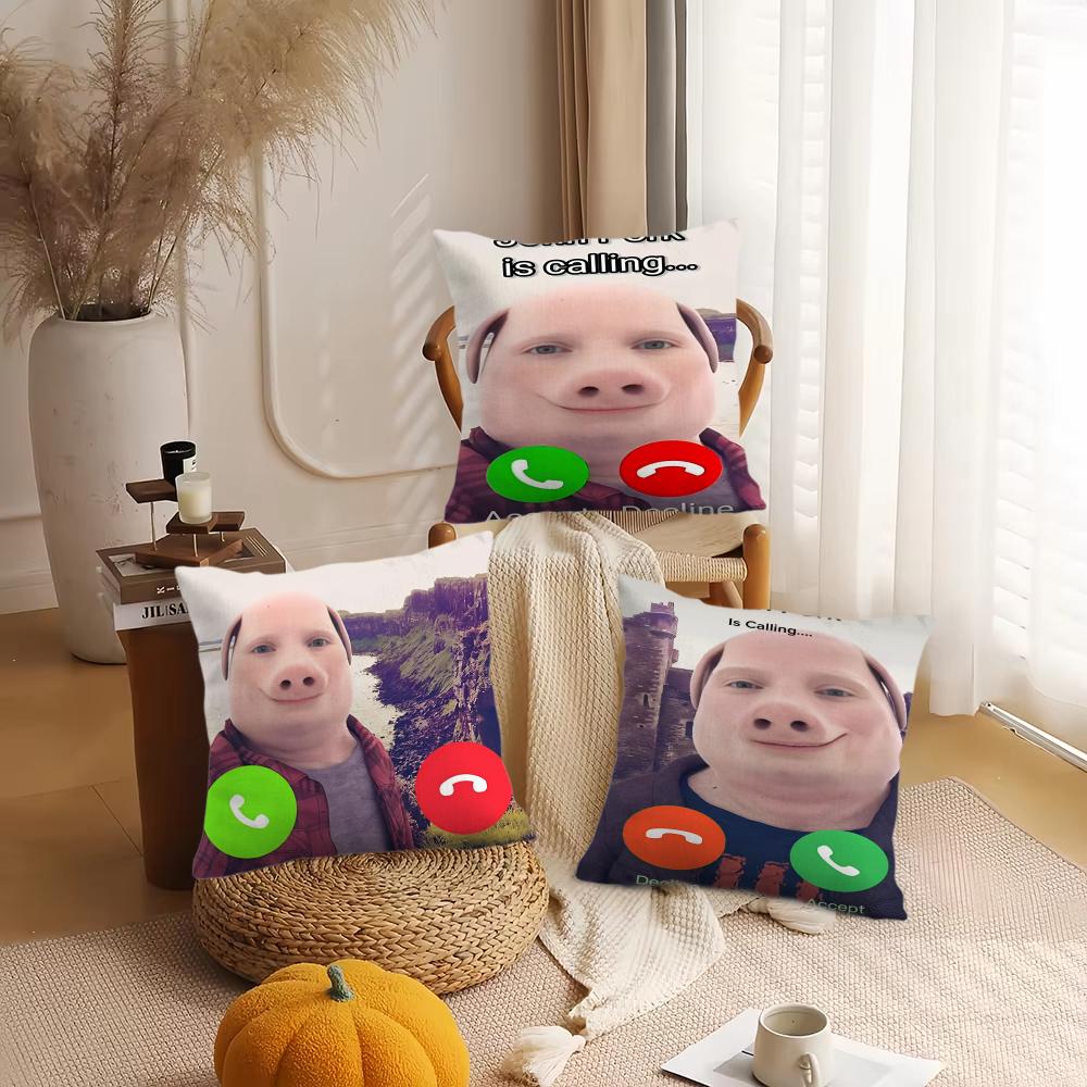 John Pork Is Calling Funny Cushion Cover Silky Short Plush DoubleSided Printed Pillow Case for Sofa All Seasons Home Decor Gift