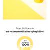 CNP Laboratory - Propolis Lipcerin