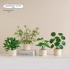 Nordic Bionic Green Faux Bonsai Plants - Indoor Tabletop Decor for Office & Living Room