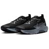 Nike Pegasus Trail 5 GORE-TEX Black Wolf Grey - FQ0908-001