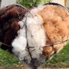 Handmade Fiber Bird Nesting Heart Winter Tree Shelter for Wild Birds Outside Bird Nest Material Holder for Garden Art Birdhouse Hummingbird House