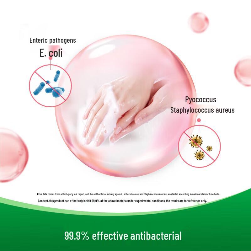 Dettol Floral Foaming Antibacterial Hand Wash