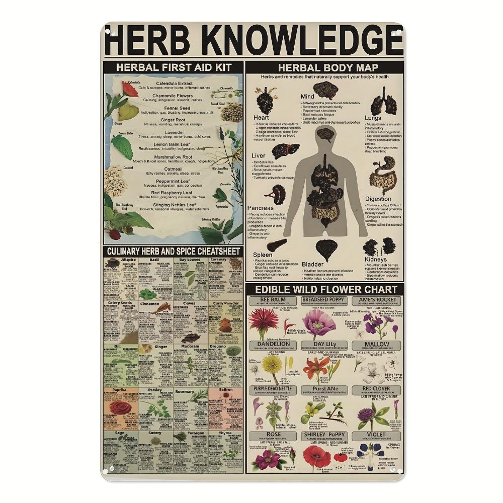 1 Stück, Kräuterwissen Vintage Metallblechschild, Vintage Plakettendekoration, Hängeplakette, Wand/Zimmer/Zuhause/Restaurant/Bar/Café/Tür