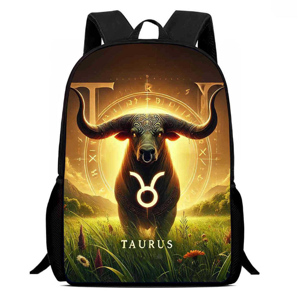 12 Sternbilder Schultasche High Definition Multifunktion Oxford Leichter Rucksack Haare