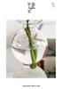 Weixun Korean Bubble Glass Vase - Spherical Hydroponic Flower Decoration Prop