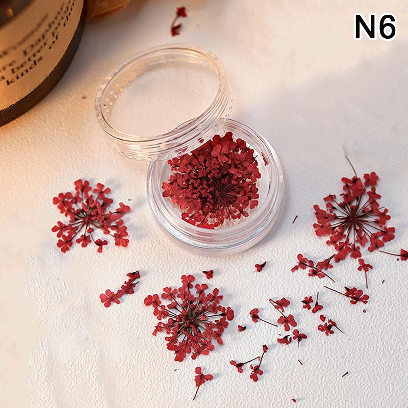 5 st/ask 3D torkade blommor nagelkonstdekorationer torkade blommor klistermärken gör-det-själv manikyr berlocker design för nageltillbehör