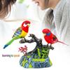 Talking Parrots Home Office Desk Decoration Birthday Gift Lightweight for Kids Adults Sound