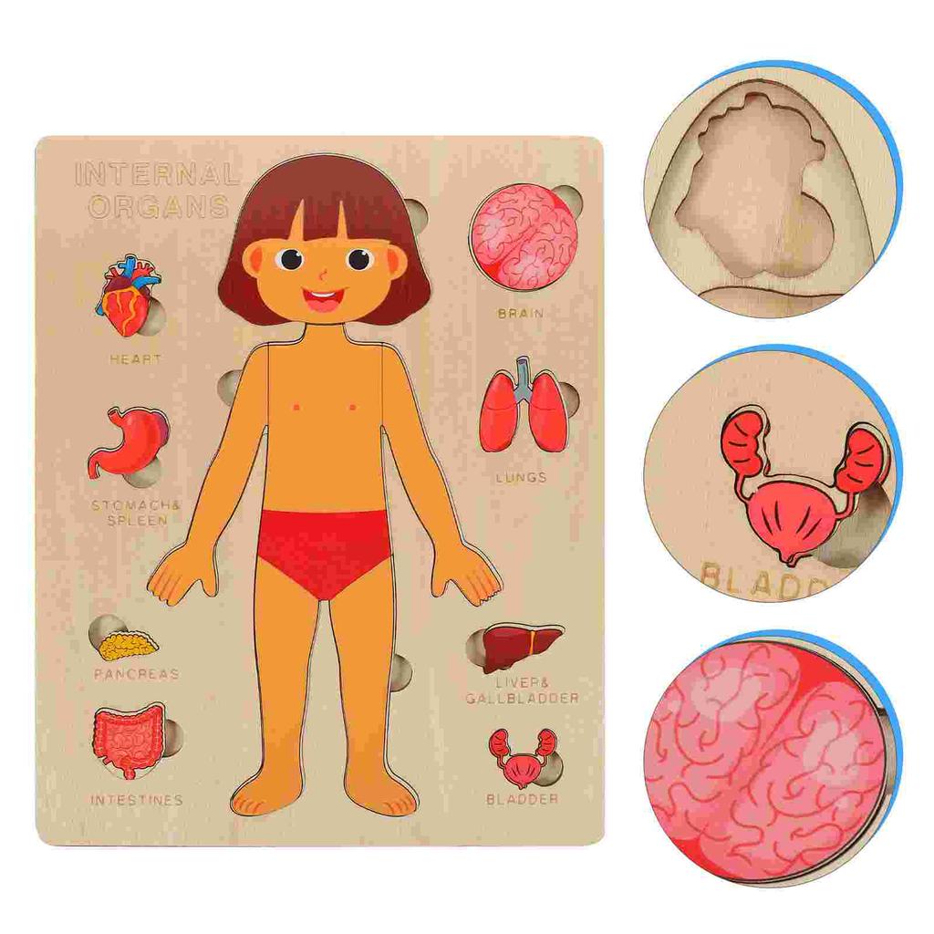 Montessori Puzzles for Toddlers Human Body Puzzle Anatomy Play Set Preschool Game Learning Human Body Parts Anatomy Skeleton Toy