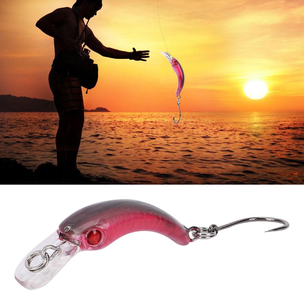 Lifelike Hard Lure Minnow Bait with Hook Fishing Crankbait Wobbler Tackle Accessory (D)
