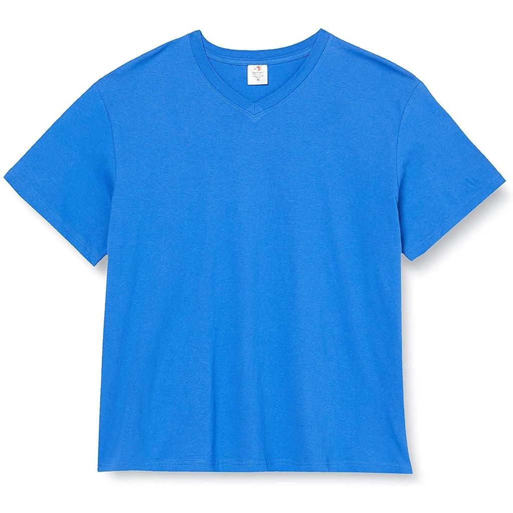 Stedman Mens Classic V Neck Tee