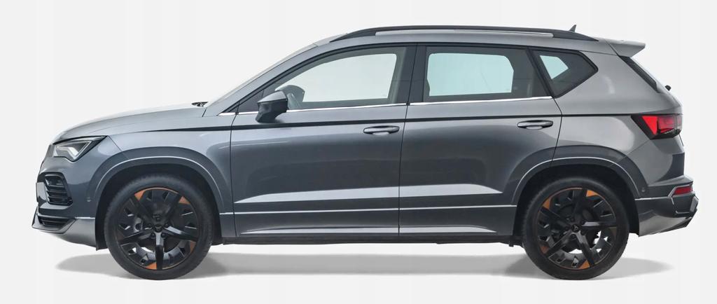 Seat Cupra Ateca - CHROME SIDE WINDOW SURFACE DECORATIVE WINDOW SIZES