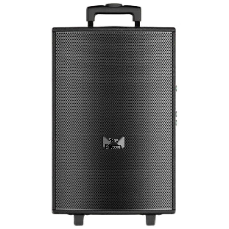 Suoai 8-inch Portable KTV Speaker with Dual Microphones