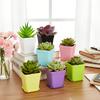 6pcs Plastic Square Succulent Flowerpots & Trays Mixed Candy Color Garden Horticulture Home Office Desktop Decoration YMY