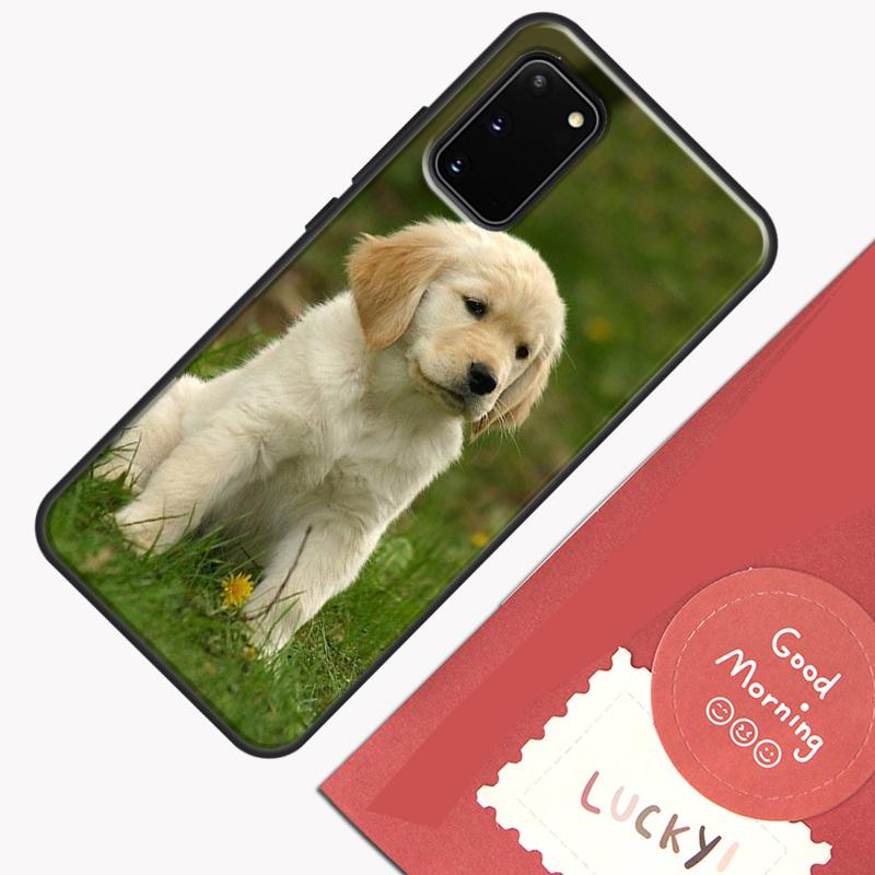 Golden Retriever Hund Handyhülle Für Samsung Galaxy S24 S26 Ultra S20 S21 S22 S23 S25 Plus S10 S25 FE Hülle Schale