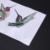 M-Modern-8 Large Beautiful Humming Bird Static Cling Window Stickers Hummingbird Anti Collision Bird Strike Window Stickers