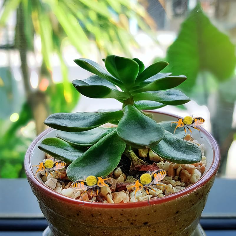 TOYANDONA Figuras de Abelha, Conjunto de 2, Modelos Realistas de Abelha Europeia, Modelos Educacionais de Insetos para Crianças, Decoração de Jardim, Figuras de Aprendizagem de Ciências, Animal