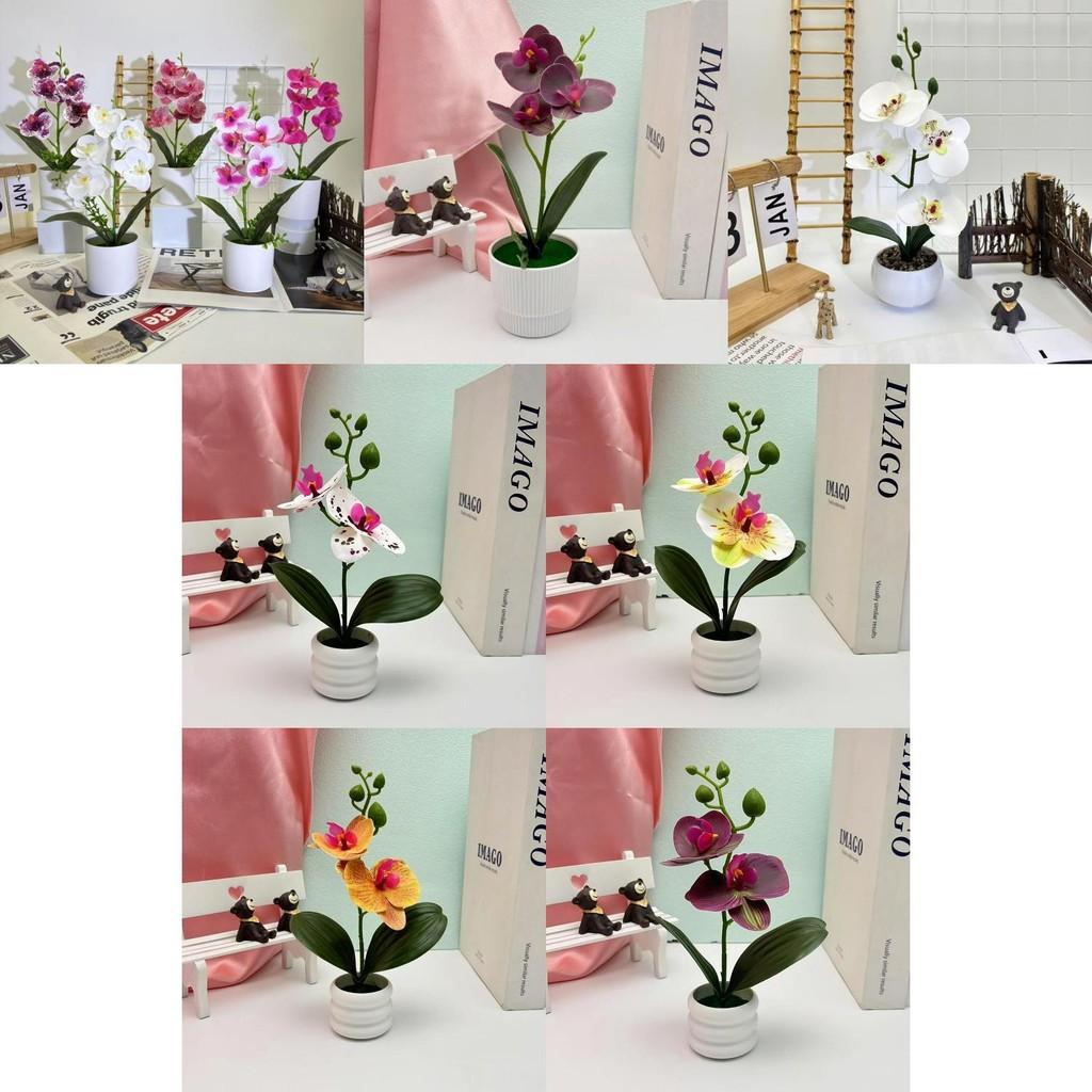 Butterfly Orchid Artificial Plant With 3d Printing For Home Decor And Photography Props