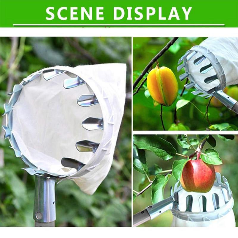 Raccoglitore di Frutta con Palo Telescopico Raccoglitore di Frutta in Metallo Giardinaggio Frutteto Strumenti per la Raccolta di Mele e Pesche Raccoglitore di Frutta da Giardino Raccolta