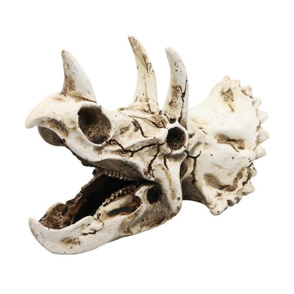 Artificial Fish Hiding House Decorative Animals Skull Decoration Teaching Skeleton Model
