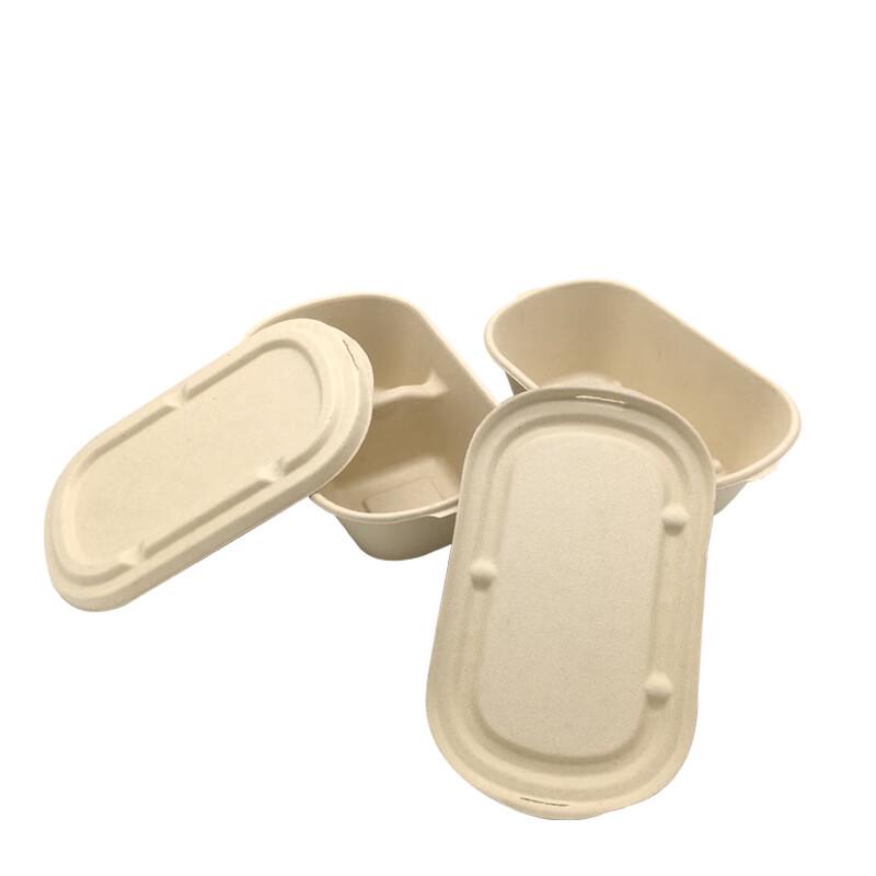 Disposable Pulp Food Container with Lid