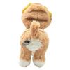 Sunlemon Kitten Scottish Fold Brown x 8 x cm Stuffed Animal Cat 16.7 18.4 P-4222