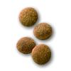 Royal Canin Therapeutic Cat Satiety 2kg [Authentic] Food, Support,