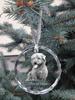 Glen of Imaal Terrier - Crystal Bauble with a Photo, Dog Photo In Crystal, Personalized Christmas Tree Ornament by Art-Dog Brand