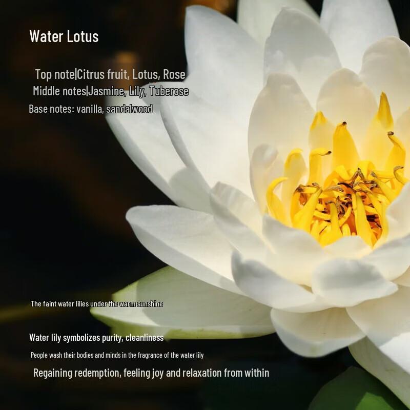 Tesori d'Oriente Scented Body Lotion