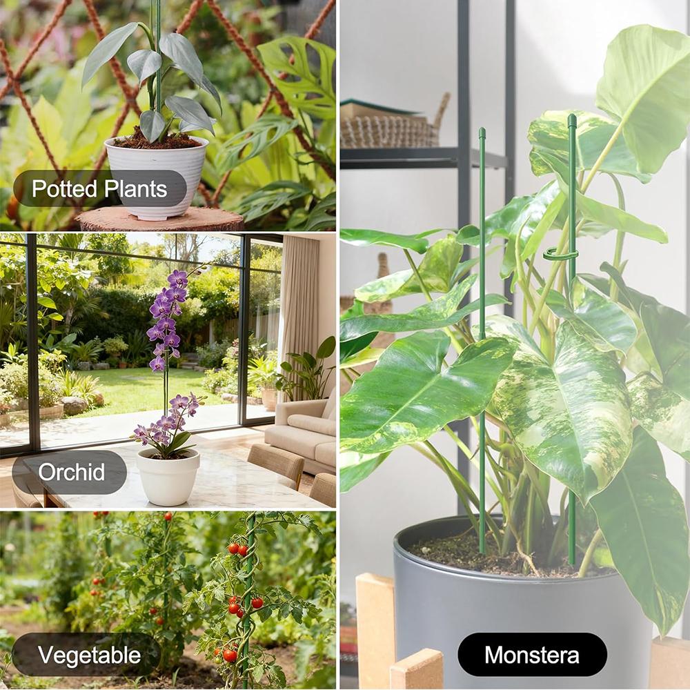 32.6cm 6 Set Plant Supports for Indoor Plants, Orchid, Rose Flower(Green)