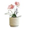 Nordic Minimalist Ceramic Flower Pot with Tray for Phalaenopsis, Orchid, and Succulent Plants