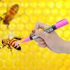 1 Stück Königinnen-Markierflasche 8 Farbmarker Bienen-Markierwerkzeuge Königinnen-Markier-Set Königinnen-Fänger-Clip Imkerwerkzeuge