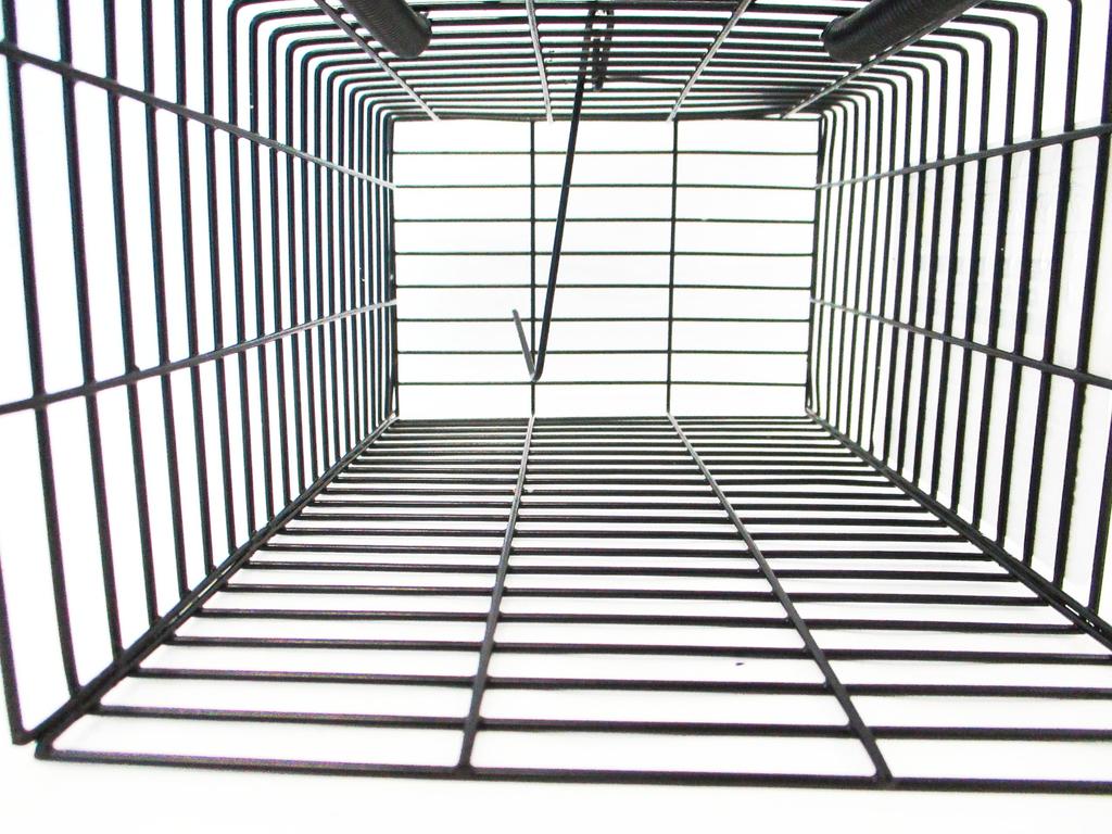 ARC Black Square House L