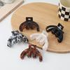 Acetate Semicircular Claws Hairpin Female High Sense Shark Clip Back Of Head Temperament Grab Clip Disc Hair Headdress