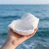 Non-Stick Plaster Silicone Mold Silicone Mold DIY Candle Mold Seashell Storage Container Mold